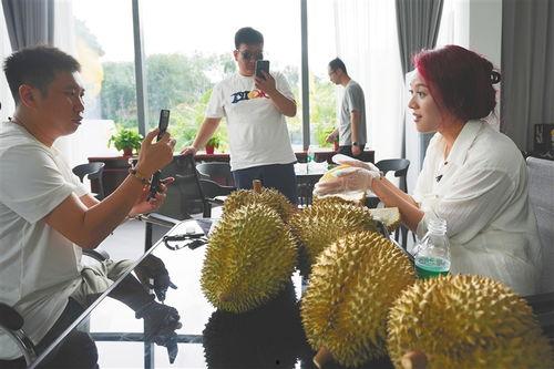 榴莲国产推荐视频在线,视频揭秘美味与种植奥秘 第1张 榴莲国产推荐视频在线,视频揭秘美味与种植奥秘 第1张