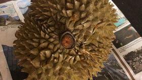 国产榴莲翻车了吗图片视频,一场视觉与味觉的碰撞 第2张 国产榴莲翻车了吗图片视频,一场视觉与味觉的碰撞 第2张