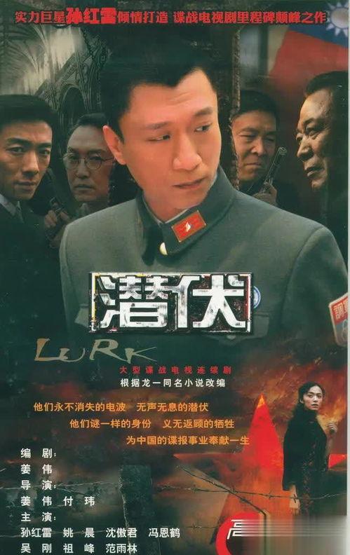 中国国产经典视频,传承与创新的艺术之旅 第2张 中国国产经典视频,传承与创新的艺术之旅 第2张