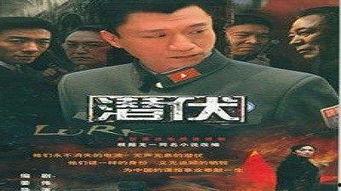 中国国产经典视频,传承与创新的艺术之旅 第3张 中国国产经典视频,传承与创新的艺术之旅 第3张