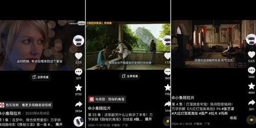 国产1000部视频,国产电影千部佳作全景扫描